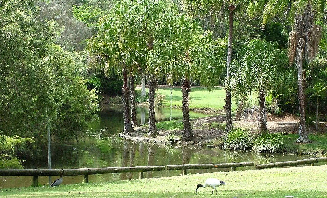 Tropical garden path in Hervey Bay